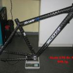 Scott Scale Gr  M