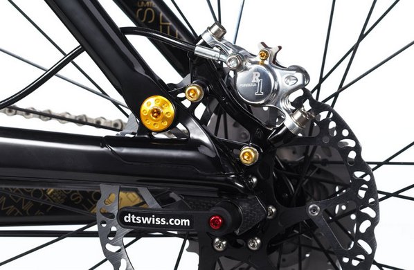 Genius03 brake mount